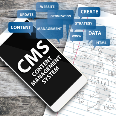 Content Management System (1)